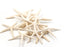 creamy white finger starfish